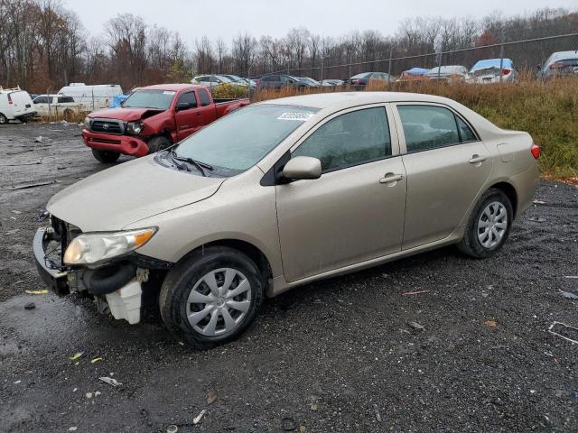 TOYOTA COROLLA BA 2009 with VIN 2T1BU40E29C164577 - Photo from auction