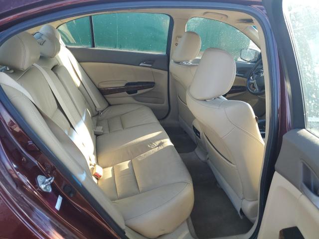 Photo 10 from auction – 2010 HONDA ACCORD EXL with VIN 1HGCP2F83AA021858