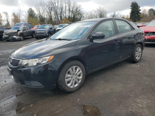KIA FORTE EX 2013 with VIN KNAFU4A29D5708193 - Photo from auction