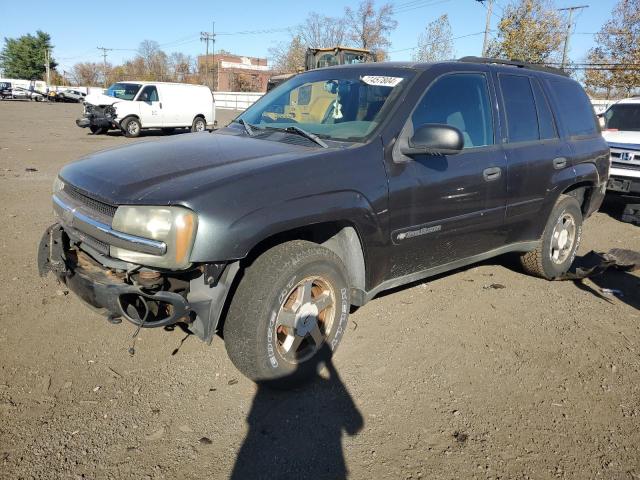 CHEVROLET TRAILBLAZE 2003 with VIN 1GNDT13S732354898 - Photo from auction