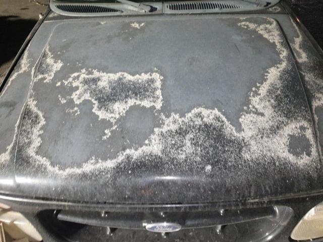 Photo 12 from auction – 2001 FORD EXPLORER L with VIN 1FMDU85P71UB08115