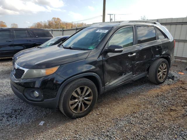 KIA SORENTO EX 2011 with VIN 5XYKUDA25BG057523 - Photo from auction