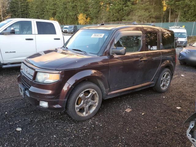HONDA ELEMENT SC 2007 with VIN 5J6YH18937L011596 - Photo from auction