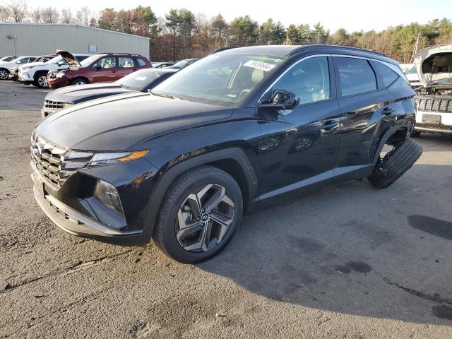 HYUNDAI TUCSON SEL 2024 with VIN 5NMJFCDEXRH319171 - Photo from auction