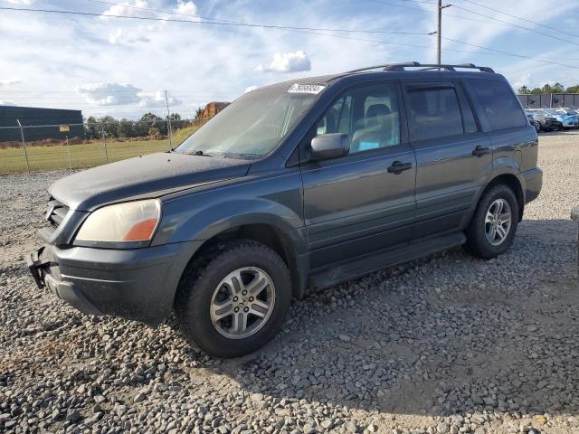 HONDA PILOT EXL 2005 with VIN 5FNYF18595B057040 - Photo from auction
