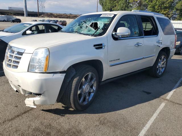 CADILLAC ESCALADE P 2011 with VIN 1GYS4CEF4BR287461 - Photo from auction
