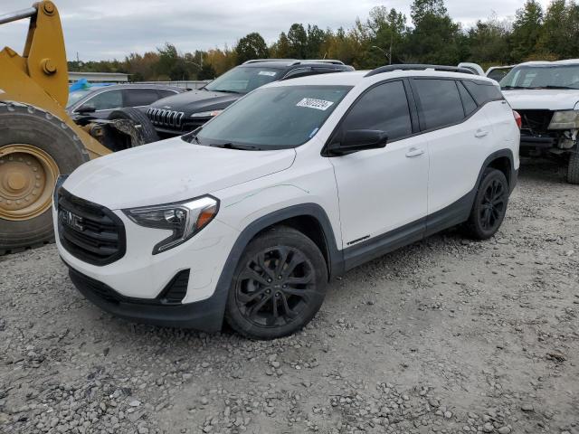 GMC TERRAIN SL 2020 with VIN 3GKALTEV8LL222007 - Photo from auction