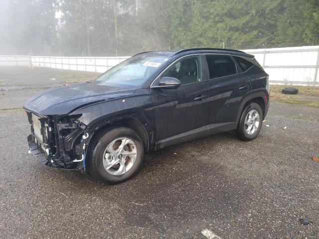 HYUNDAI TUCSON SEL 2023 with VIN 5NMJBCAE2PH275907 - Photo from auction