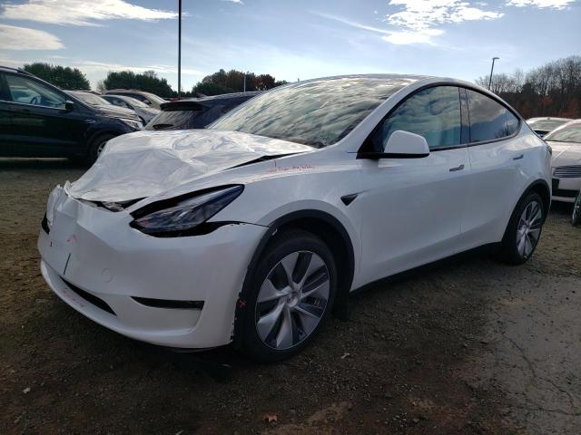 TESLA MODEL Y 2024 with VIN 7SAYGDEE8RA259134 - Photo from auction