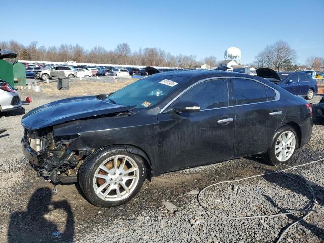 NISSAN MAXIMA S 2010 with VIN 1N4AA5AP9AC858213 - Photo from auction
