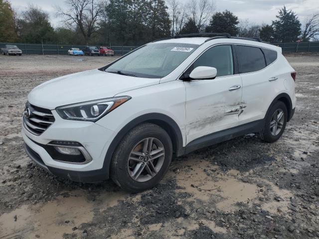 HYUNDAI SANTA FE S 2017 with VIN 5NMZU3LB6HH025314 - Photo from auction