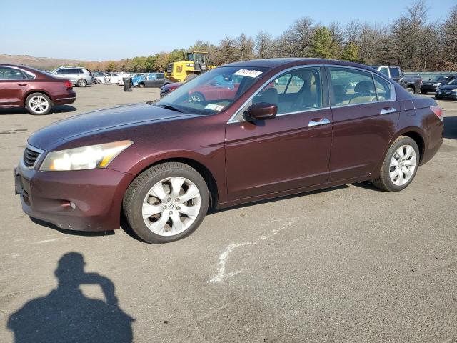 HONDA ACCORD EXL 2010 with VIN 5KBCP3F85AB017789 - Photo from auction
