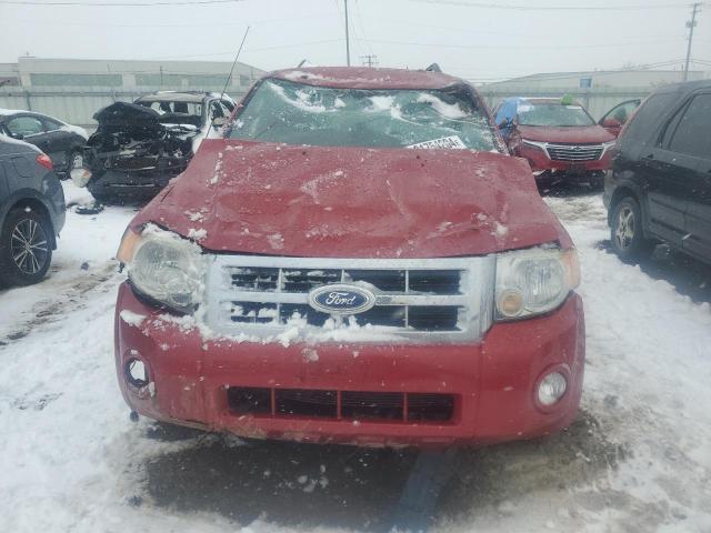 Photo 5 from auction – 2011 FORD ESCAPE XLT with VIN 1FMCU0DG6BKA37601