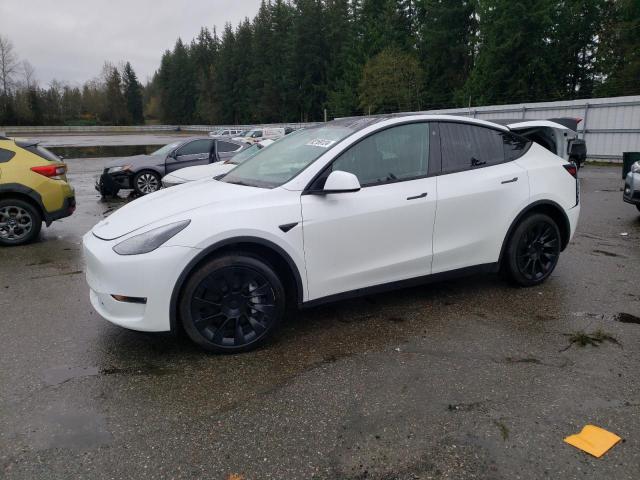 TESLA MODEL Y 2023 with VIN 7SAYGDEE0PF749423 - Photo from auction