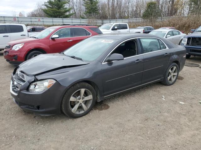 Photo 1 from auction – 2011 CHEVROLET MALIBU 1LT with VIN 1G1ZC5E14BF202930