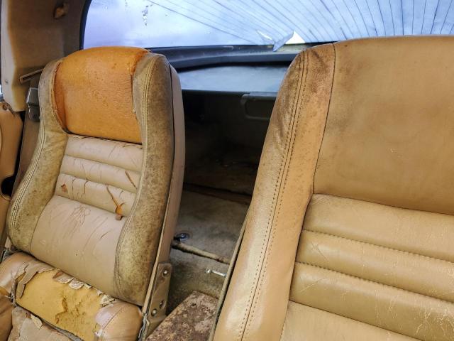 Photo 10 from auction – 1981 CHEVROLET CORVETTE with VIN 1G1AY8760BS416426