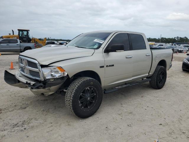 DODGE RAM 1500 2009 with VIN 1D3HB13T09J507021 - Photo from auction