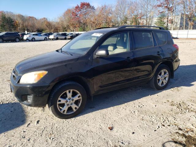 TOYOTA RAV4 2012 with VIN 2T3BF4DV1CW184160 - Photo from auction