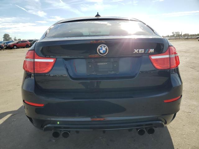 Photo 6 from auction – 2010 BMW X6 M with VIN 5YMGZ0C50ALK13565