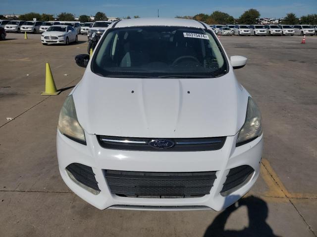 Photo 5 from auction – 2014 FORD ESCAPE SE with VIN 1FMCU9GX5EUE15299