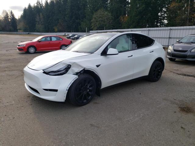 TESLA MODEL Y 2024 with VIN 7SAYGAEE1RF190241 - Photo from auction