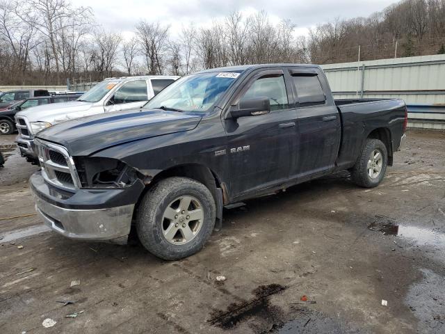 DODGE RAM 1500 2009 with VIN 1D3HV18T69S724079 - Photo from auction