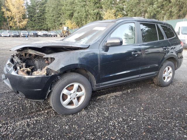 HYUNDAI SANTA FE G 2008 with VIN 5NMSG73D68H194203 - Photo from auction