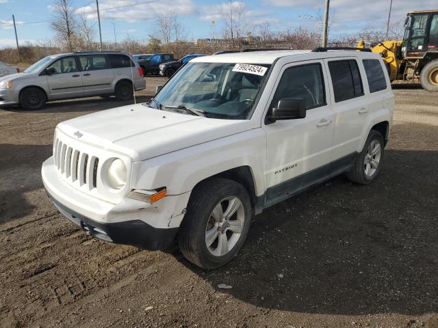 JEEP PATRIOT 2011 with VIN 1J4NF2GB6BD178010 - Photo from auction