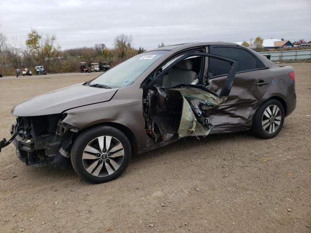 KIA FORTE EX 2013 with VIN KNAFU4A25D5666900 - Photo from auction