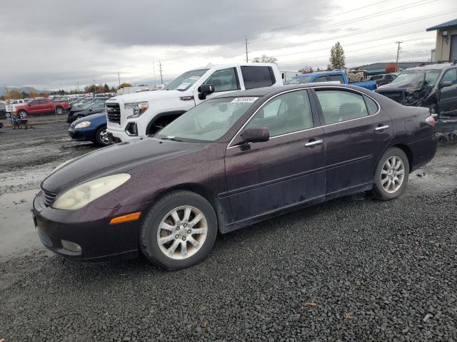 LEXUS ES 300 2003 with VIN JTHBF30G836013617 - Photo from auction