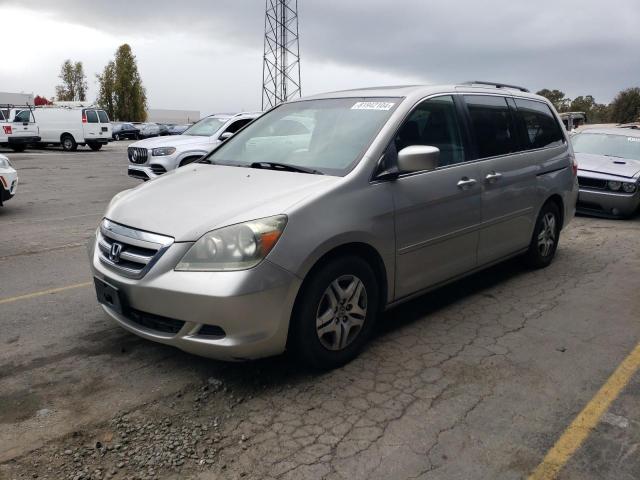 HONDA ODYSSEY EX 2005 with VIN 5FNRL38775B115866 - Photo from auction