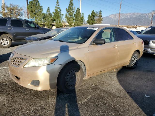 TOYOTA CAMRY BASE 2010 with VIN 4T1BF3EK2AU548235 - Photo from auction