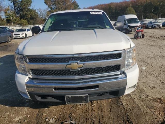 Photo 5 from auction – 2010 CHEVROLET SILVERADO with VIN 1GCSKREA9AZ133054