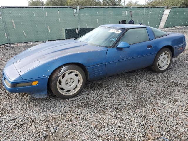 CHEVROLET CORVETTE 1991 with VIN 1G1YY2387M5101045 - Photo from auction
