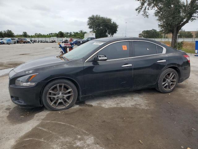 NISSAN MAXIMA S 2011 with VIN 1N4AA5AP1BC842220 - Photo from auction