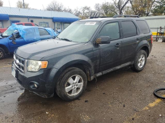 FORD ESCAPE XLT 2009 with VIN 1FMCU03769KA42700 - Photo from auction