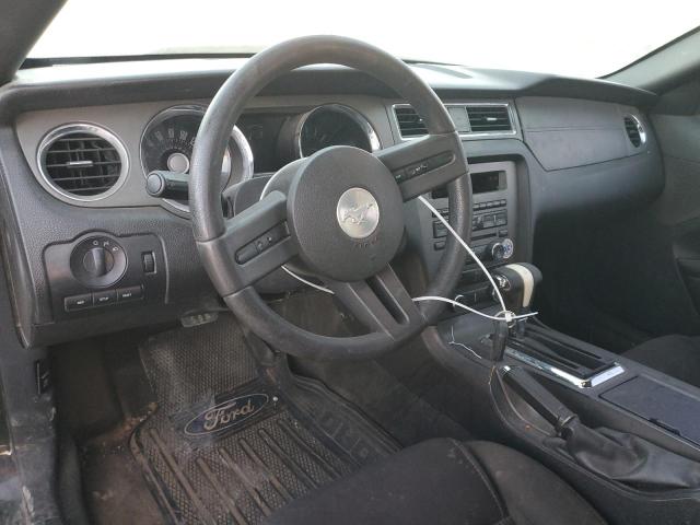 Photo 8 from auction – 2012 FORD MUSTANG with VIN 1ZVBP8AM6C5216248