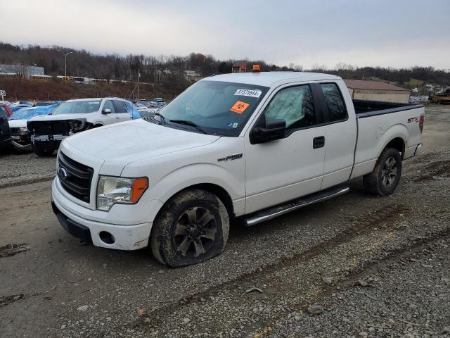 FORD F150 SUPER 2013 with VIN 1FTFX1EF9DFD70309 - Photo from auction