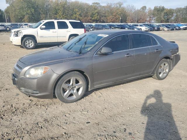 CHEVROLET MALIBU 1LT 2010 with VIN 1G1ZC5EB5AF174935 - Photo from auction
