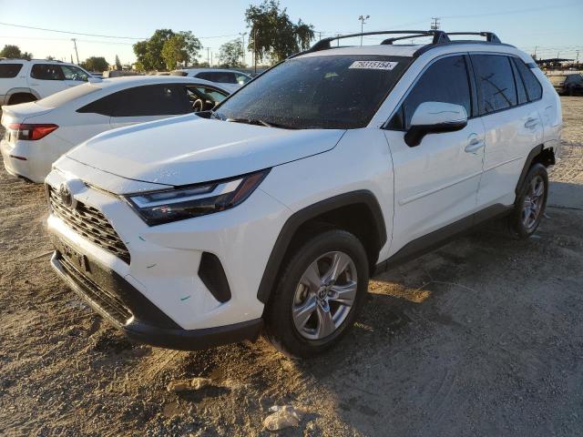 TOYOTA RAV4 2023 with VIN JTMW1RFV4PD105061 - Photo from auction