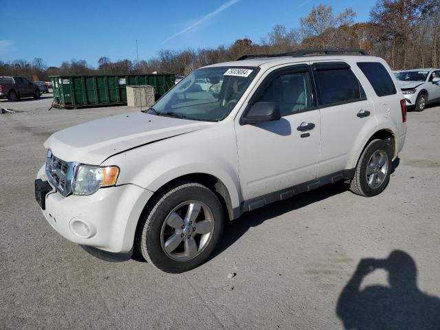 FORD ESCAPE XLT 2011 with VIN 1FMCU0D76BKB38833 - Photo from auction