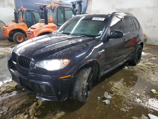 BMW X5 M 2010 with VIN 5YMGY0C58ALK25417 - Photo from auction