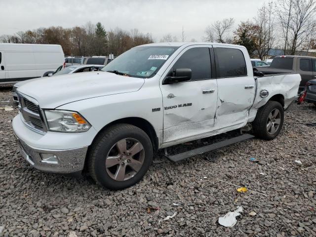 DODGE RAM 1500 S 2012 with VIN 1C6RD7LT0CS146313 - Photo from auction