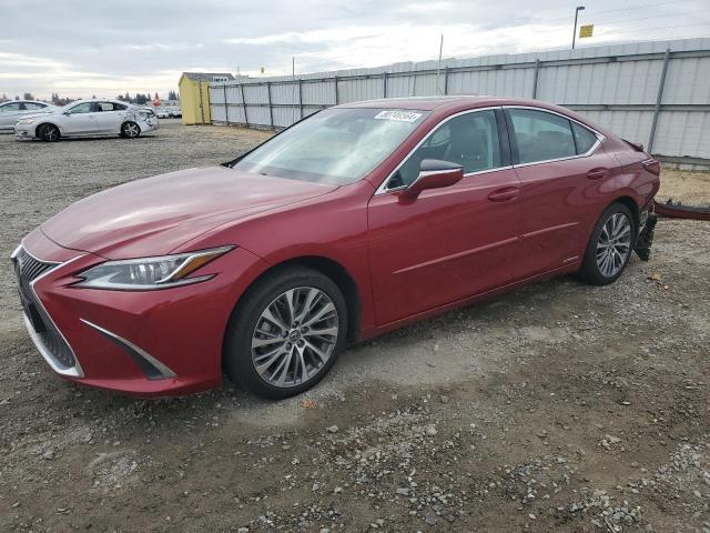 LEXUS ES 300H 2019 with VIN 58AB21B15KU002020 - Photo from auction