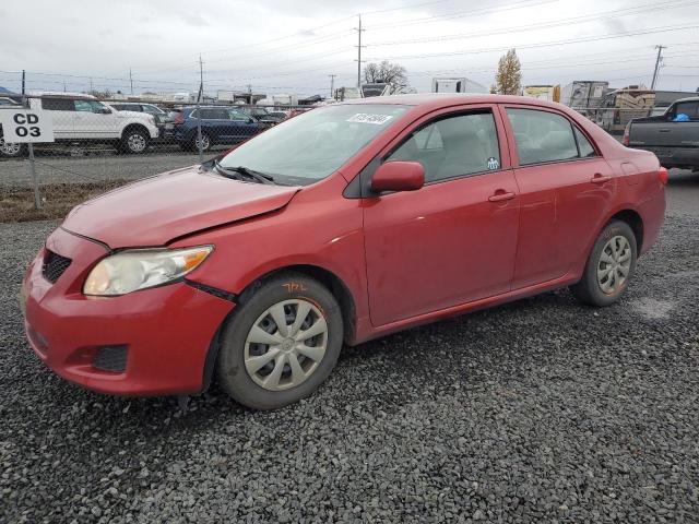 TOYOTA COROLLA BA 2009 with VIN JTDBL40E299030449 - Photo from auction