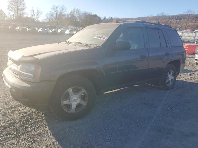 CHEVROLET TRAILBLAZE 2006 with VIN 1GNDT13SX62309670 - Photo from auction