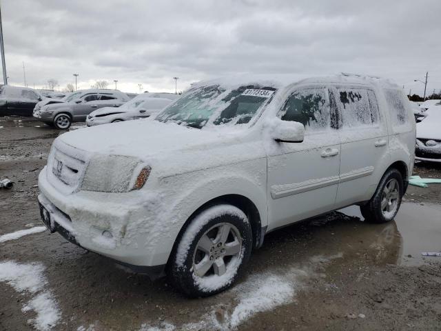 HONDA PILOT EXL 2009 with VIN 5FNYF38559B016020 - Photo from auction