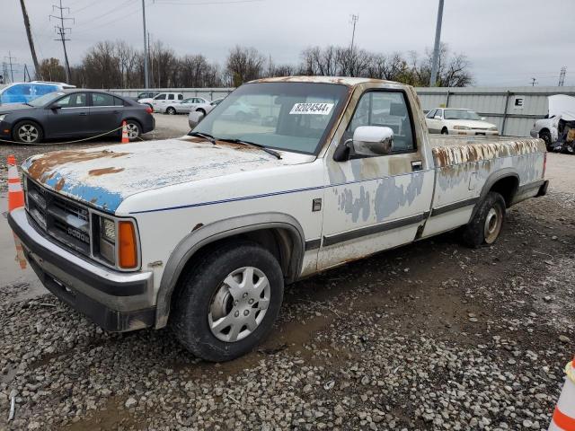 DODGE DAKOTA 1989 with VIN 1B7GL26X7KS077008 - Photo from auction
