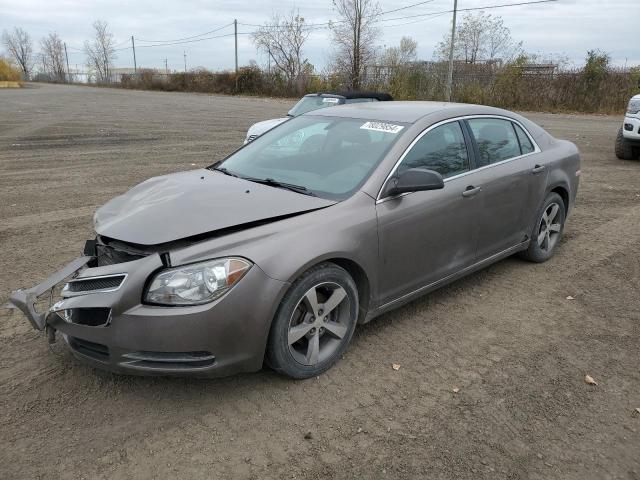 CHEVROLET MALIBU 1LT 2011 with VIN 1G1ZC5EU2BF240361 - Photo from auction