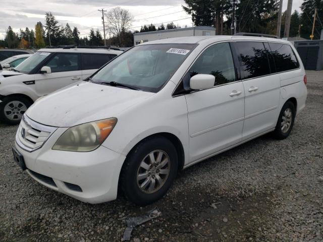 HONDA ODYSSEY EX 2008 with VIN 5FNRL38488B092835 - Photo from auction